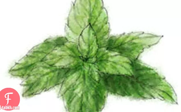 خبز الثوم
