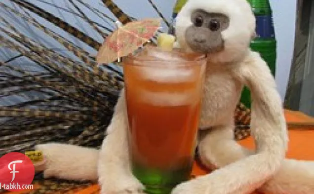 القرد في حالة سكر