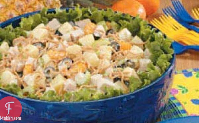 سلطة الديك الرومي بالفواكه