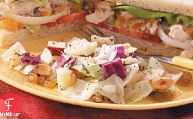 سلطة الكرنب المثمرة ببذور الخشخاش