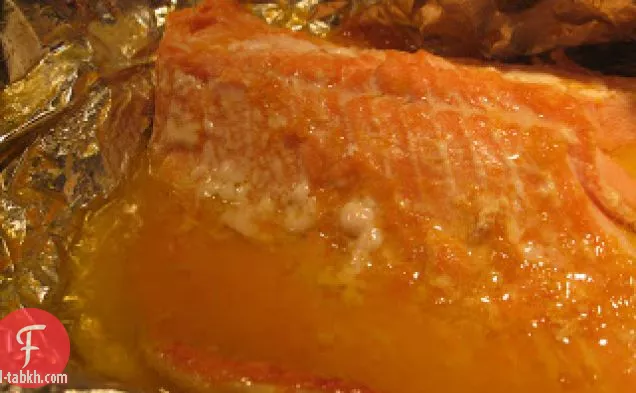 سمك السلمون البرتقالي
