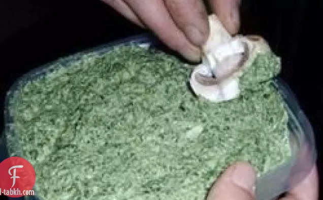 لذيذ السبانخ تراجع