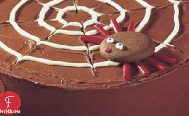 كعكة شبكة العنكبوت بالشوكولاتة
