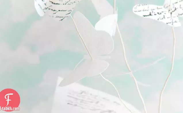 كعكة كتاب الفراشة