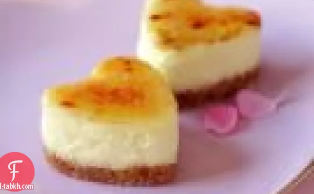 ميني تشيز كيك