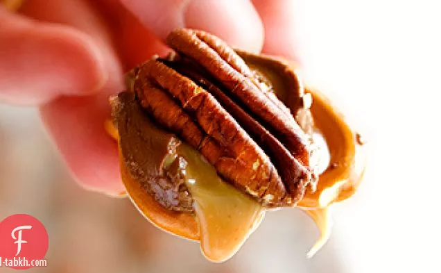 رولو بريتزل السلاحف