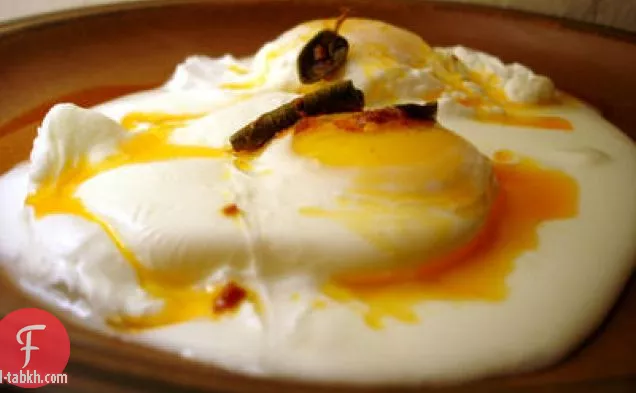 بيض مسلوق تركي مع الزبادي وزبدة المريمية الحارة