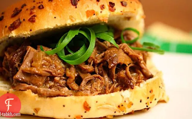 خمسة التوابل سحبت السندويشات صدر الحيوان