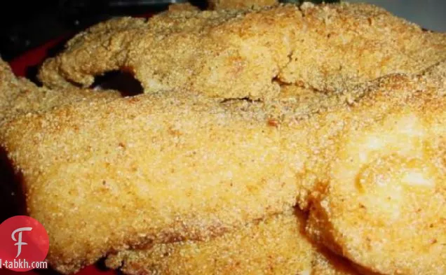 سمك السلور نمط ممفيس نيلي