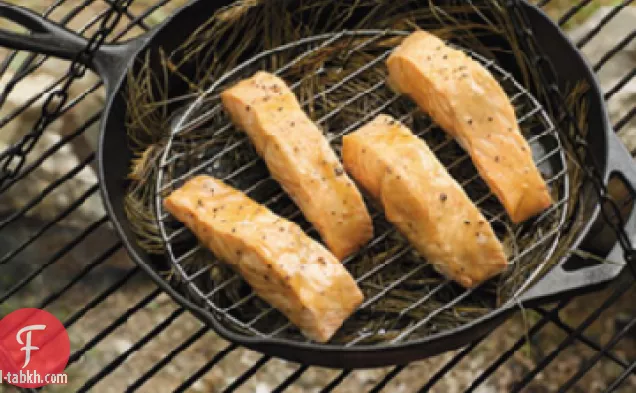 الصنوبر المدخن والقيقب المزجج السلمون البري