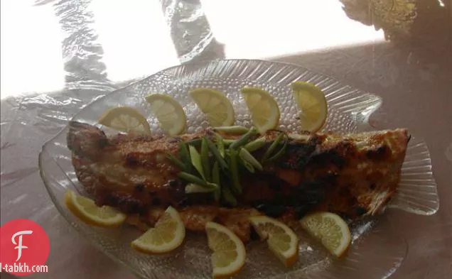 سمك السلمون المزجج ميسو