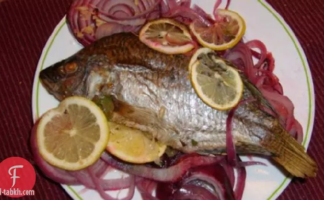البلطي المخبوز بالكامل