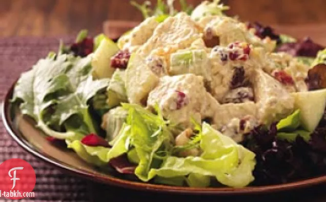 سلطة ما بعد العطلة