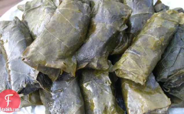 دولماثيس إيلين (ورق عنب محشي)