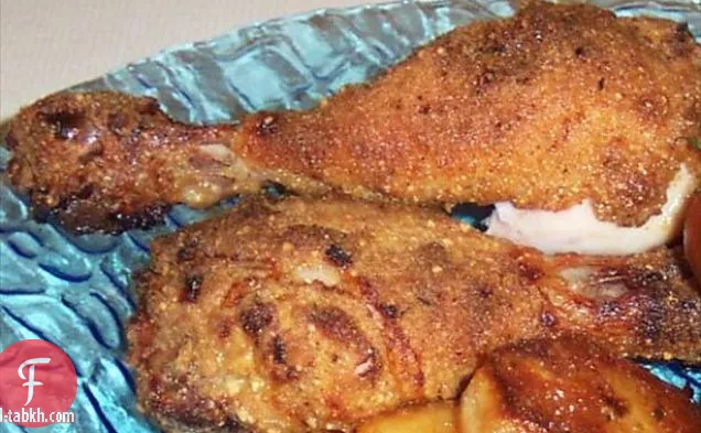 هامبورغ خزفي