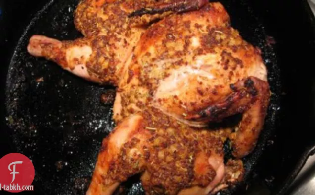 دجاج كورنيش محمص مع طلاء الخردل