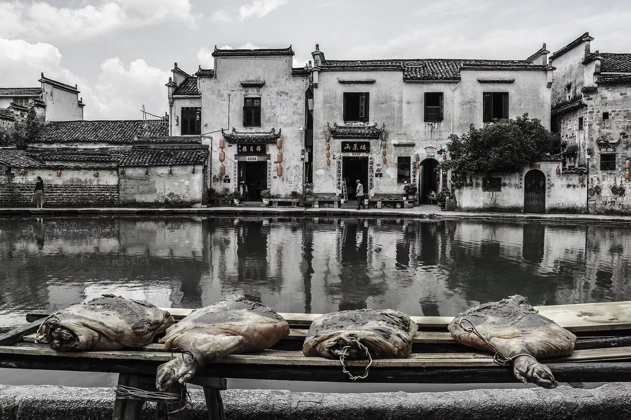 من الحبوب القديمة إلى الأطباق الحديثة: كشف التاريخ الرائع للطعام